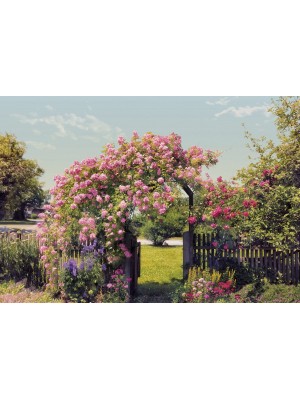 Rose Garden- Size: 368 X 254 cm art:8-936